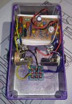 Pink Purple Deluxe - guts 01.jpg