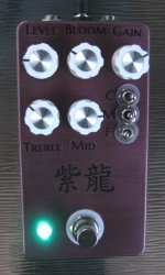 PD front 04.jpg