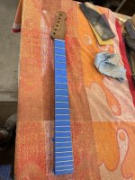 IMG_5357.jpeg