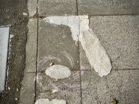IMG_1553.jpeg