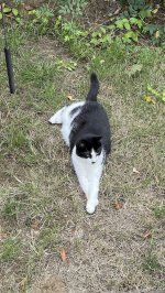 IMG_4854.jpg