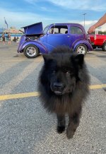 IMG_0928.jpeg