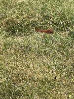 IMG_0914.jpeg