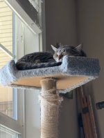 IMG_3705.jpeg