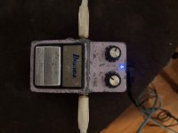 IMG_5235.jpeg