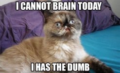 Ihassdumb.jpg