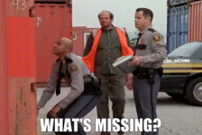 1755034193957.gif