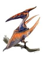 pterodactyl.webp