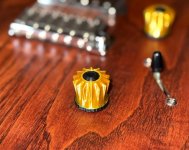 CROWN KNOBS ON GUITAR.jpg