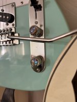 abolone tele knob 1.JPEG