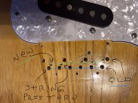 IMG_1577.jpeg