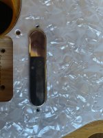 IMG_1568.jpeg