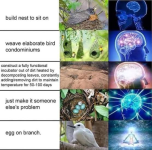 IMG_9898.png