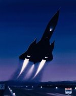 BLACKBIRD AFTERBURNER BYPASS.jpg