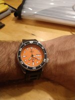 IMG_20250826_223244773.jpg