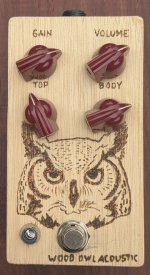 wood_owl_front.jpg wood_owl_front.jpg
