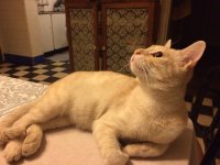 IMG_1910.jpeg