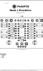 IMG_3231.jpeg