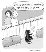 skunk weed.JPG