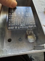 IMG_2923.jpeg