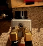IMG_2969.jpeg