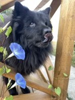IMG_1248.jpeg