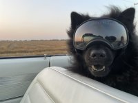 IMG_1223.jpeg