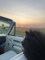 IMG_1224.jpeg