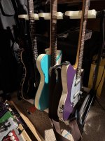 IMG_2974.jpeg