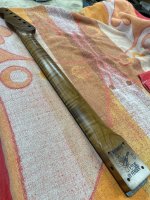 IMG_5549.jpeg