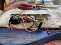 IMG_5939.jpeg
