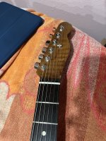 IMG_5951.jpeg