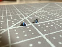 IMG_2267.jpeg