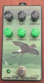 stormpetrel_front.jpg
