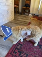 IMG_2757.jpeg