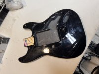 IMG_3641.jpeg