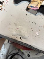IMG_3648.jpeg