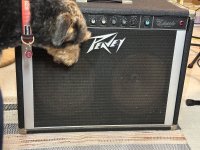 IMG_8527.jpeg