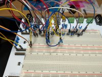 PXL_20251028_110213559.jpg PXL_20251028_110213559.jpg