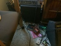 IMG_2438.jpeg