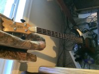 IMG_2439.jpeg
