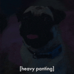 200.gif