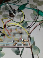 17635407127545010764086161234005.jpg