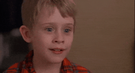 Photo Nov 19 2025, 2 02 57 PM.gif