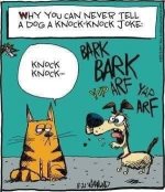 knock-knock joke.JPG