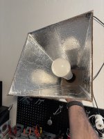IMG_2882.jpeg