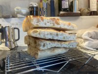 IMG_4181.jpeg