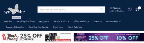 SYNTHBEARSMALLCUBE BF 2025.png