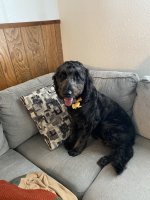 IMG_1150.jpeg