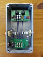 Five O'Clock Fuzz_Interior.jpg